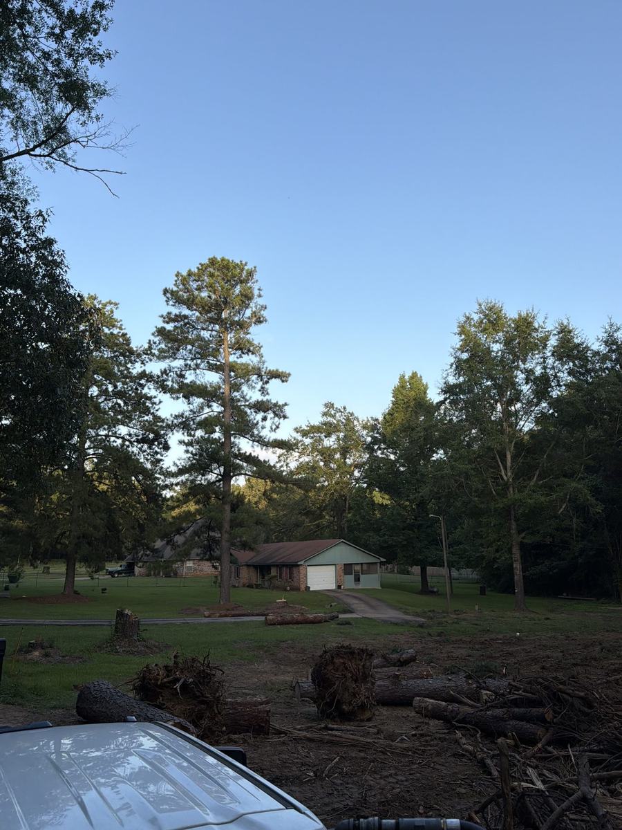 Debris cleanup after land clearing in Central Mississippi