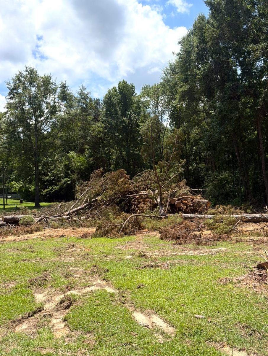 Cleared brush and debris gathered for haul-off