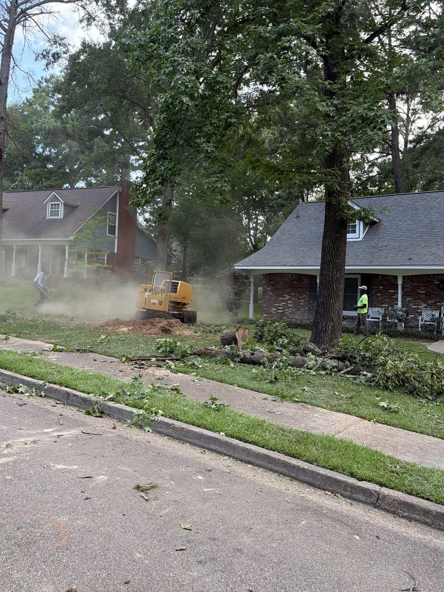 Land clearing equipment working a site in Central Mississippi