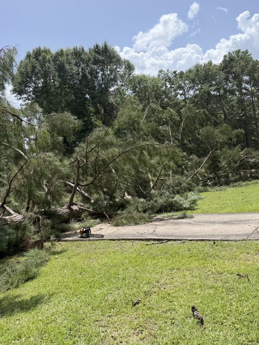 Storm cleanup by Eaves Enterprises in Madison MS