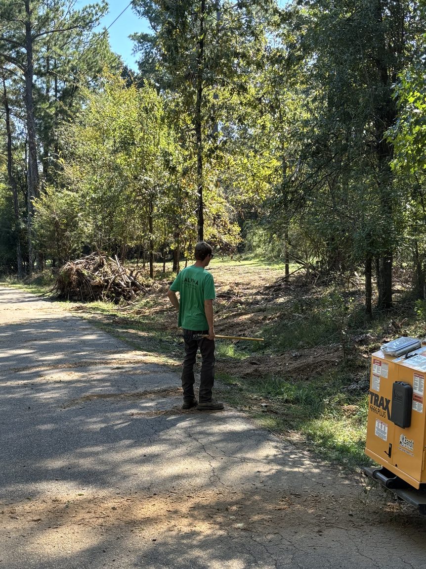 Large land clearing project