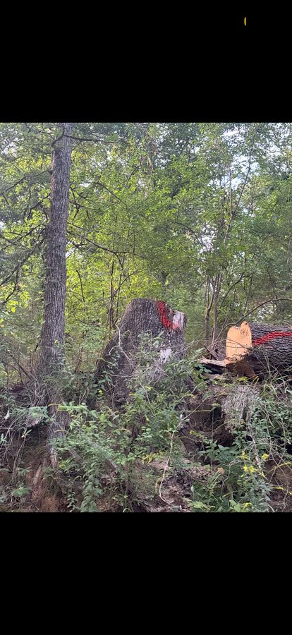 Small job limb cleanup