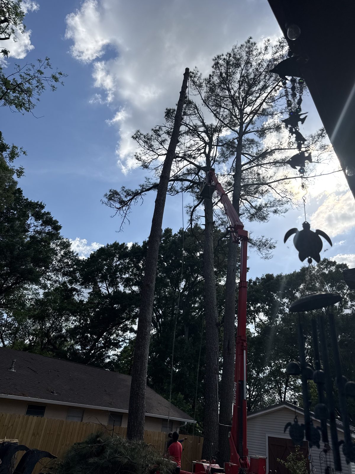 Tree removal project in Madison Mississippi by Eaves Enterprises