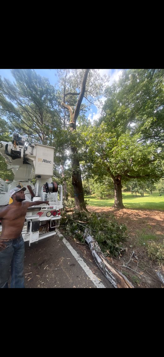 Eaves Enterprises tree removal crew